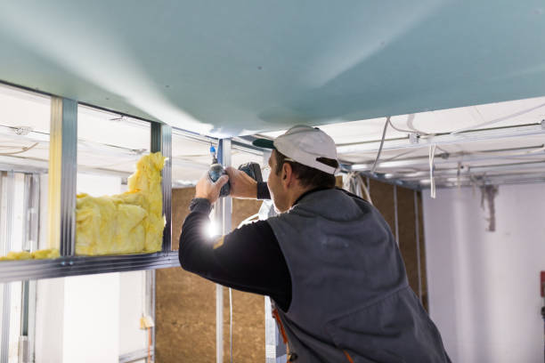 Best Spray Foam Insulation in Little Elm, TX