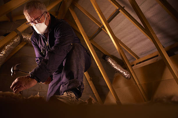Best Fiberglass Insulation in Little Elm, TX