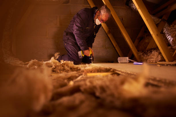Best Blown-in Insulation in Little Elm, TX